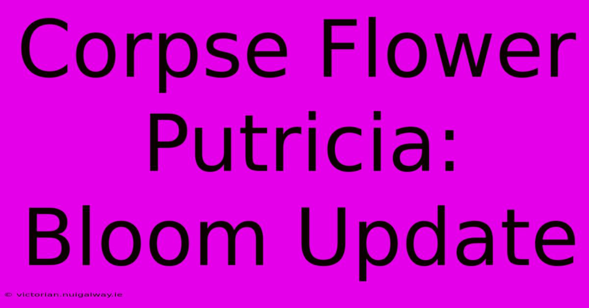 Corpse Flower Putricia: Bloom Update