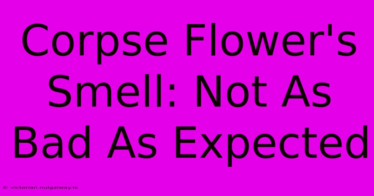 Corpse Flower's Smell: Not As Bad As Expected