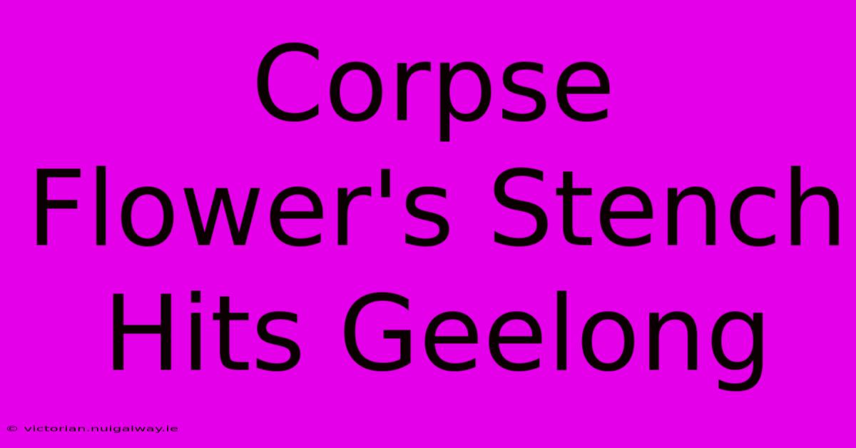 Corpse Flower's Stench Hits Geelong