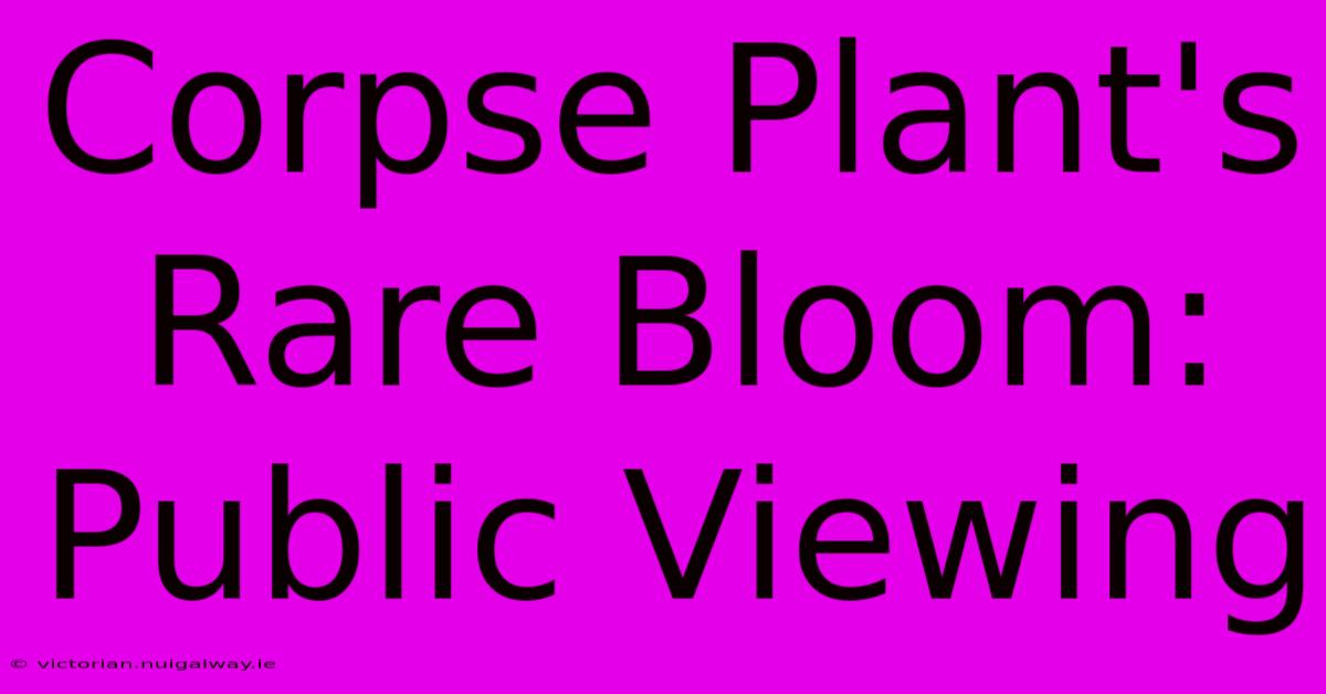 Corpse Plant's Rare Bloom: Public Viewing