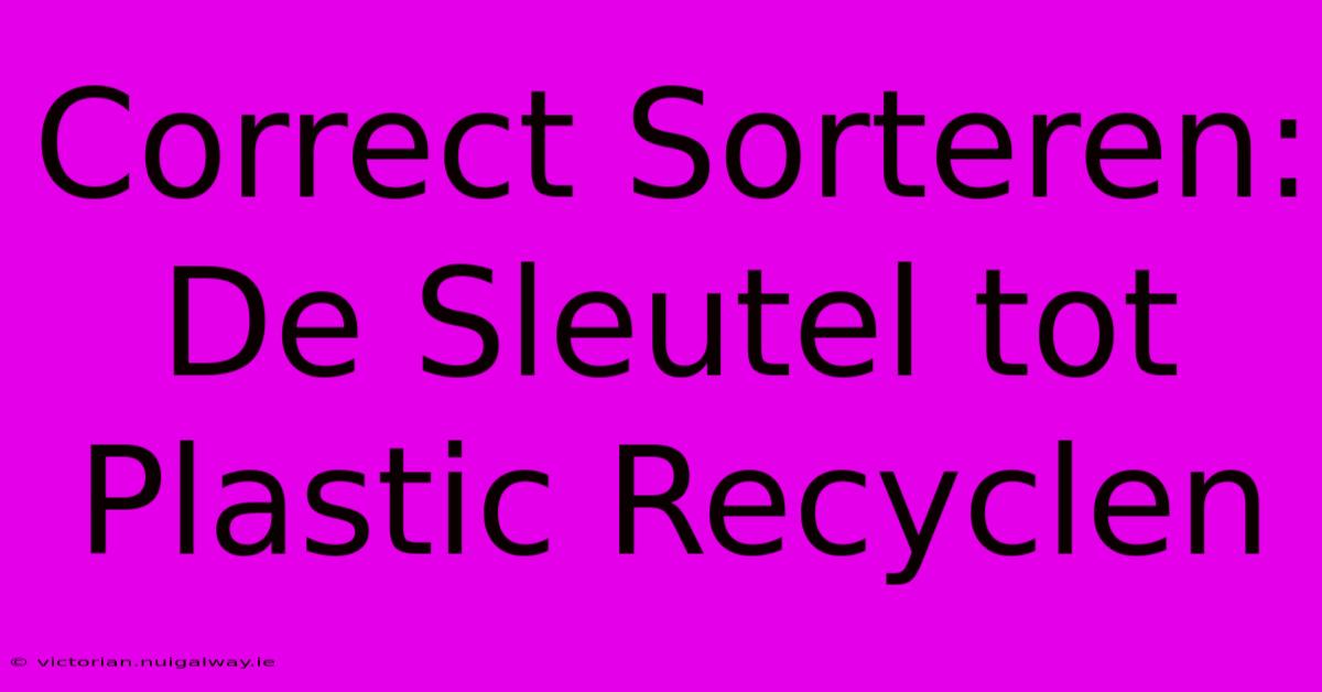 Correct Sorteren: De Sleutel Tot Plastic Recyclen 