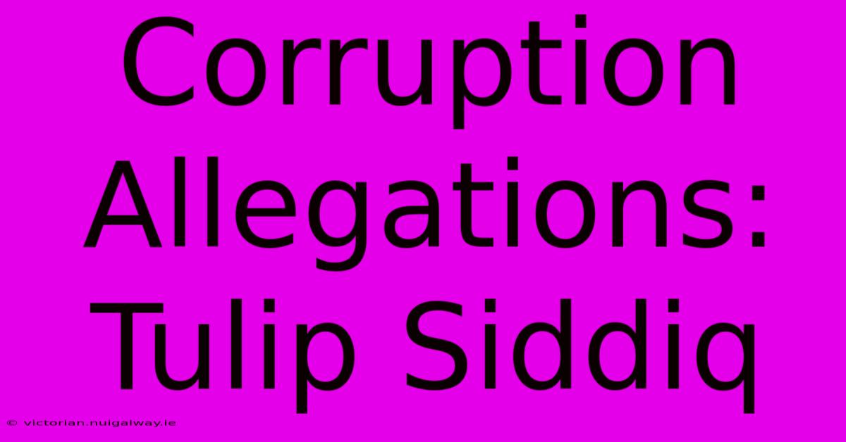 Corruption Allegations: Tulip Siddiq