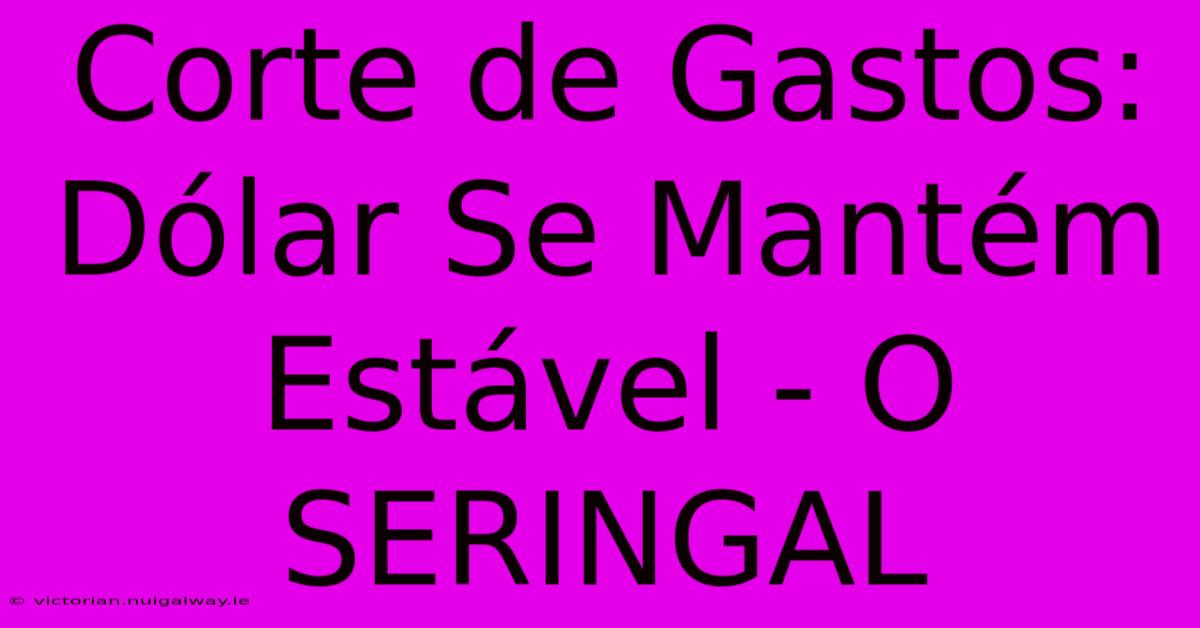 Corte De Gastos: Dólar Se Mantém Estável - O SERINGAL 