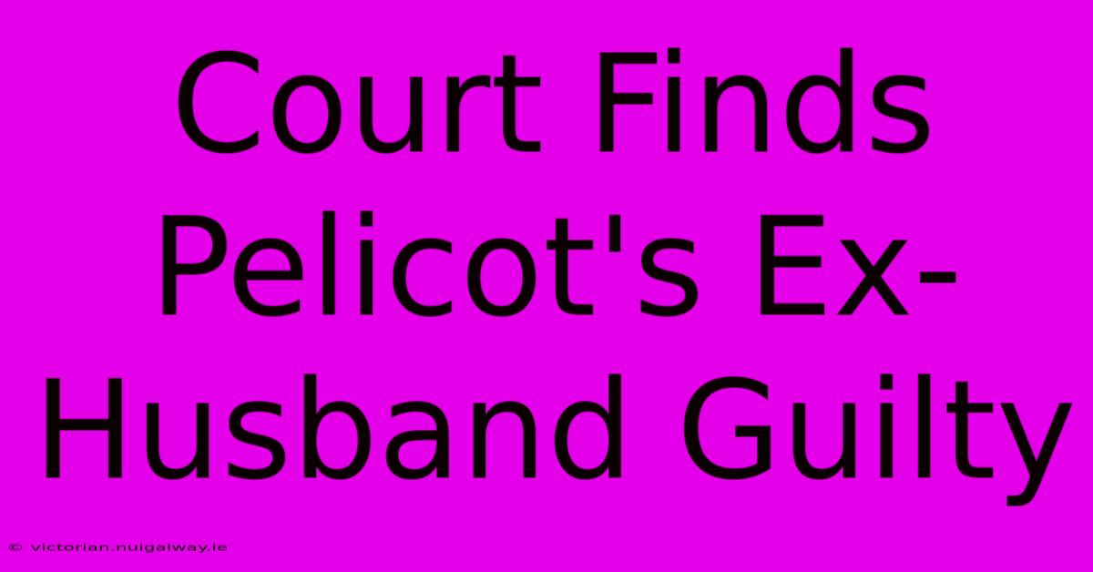 Court Finds Pelicot's Ex-Husband Guilty