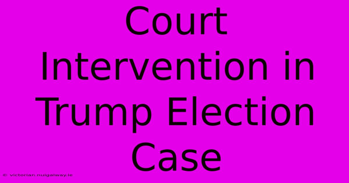 Court Intervention In Trump Election Case