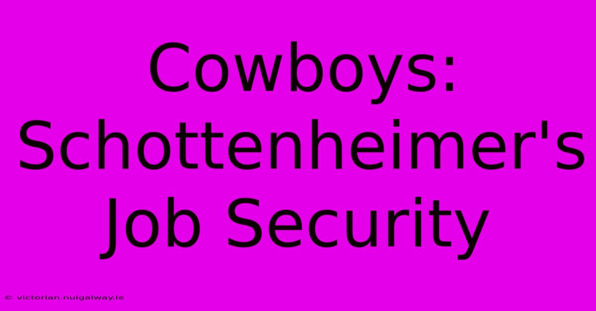 Cowboys: Schottenheimer's Job Security