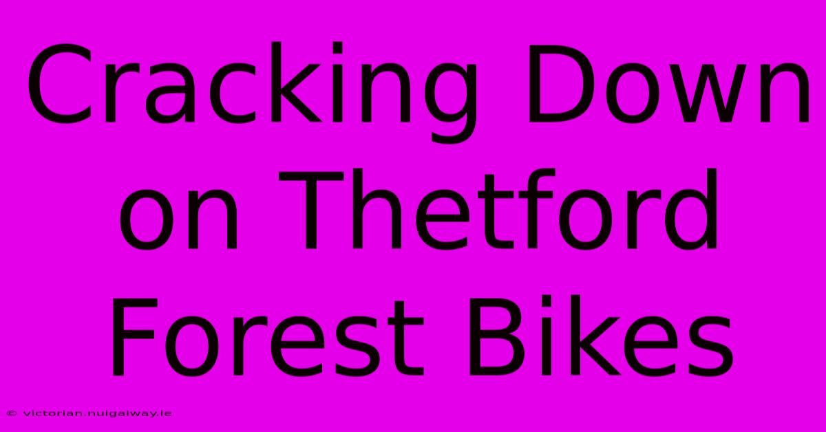 Cracking Down On Thetford Forest Bikes