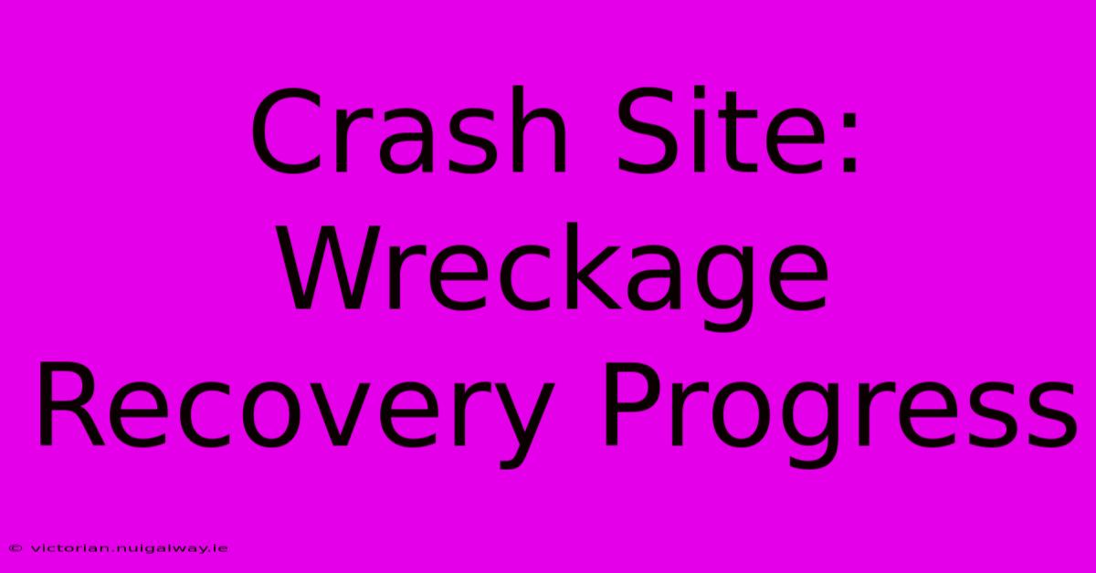 Crash Site: Wreckage Recovery Progress