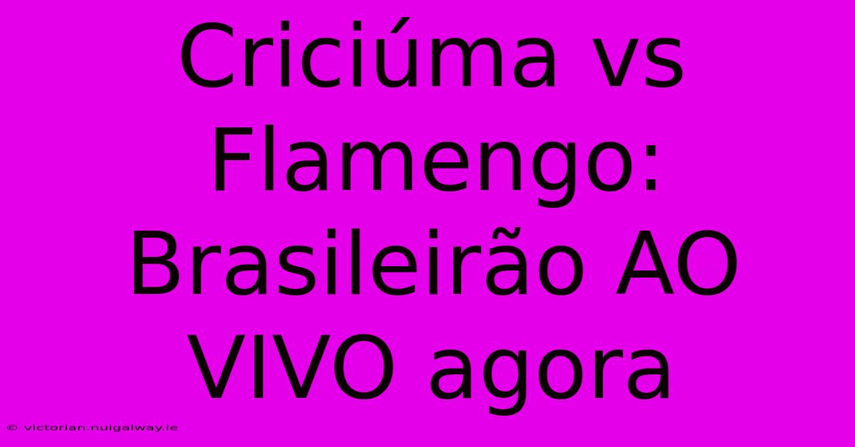 Criciúma Vs Flamengo: Brasileirão AO VIVO Agora