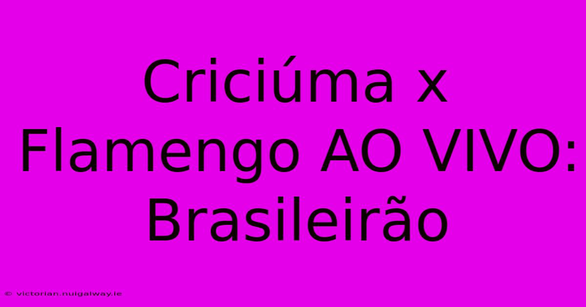 Criciúma X Flamengo AO VIVO: Brasileirão