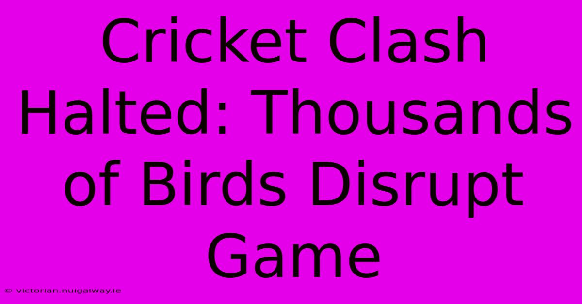 Cricket Clash Halted: Thousands Of Birds Disrupt Game