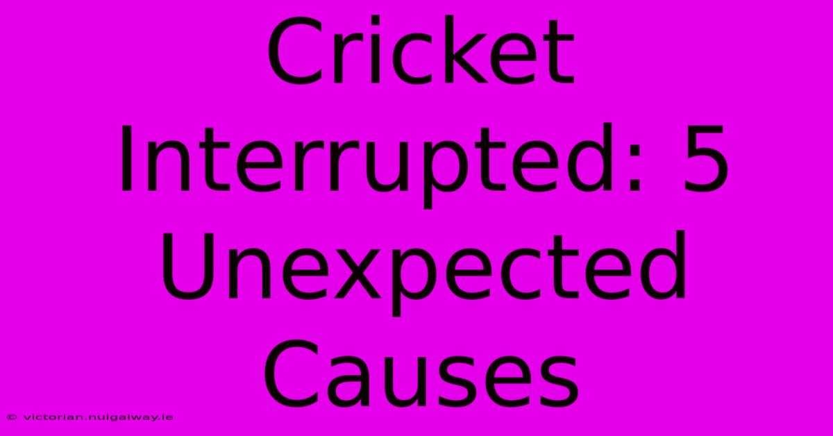 Cricket Interrupted: 5 Unexpected Causes