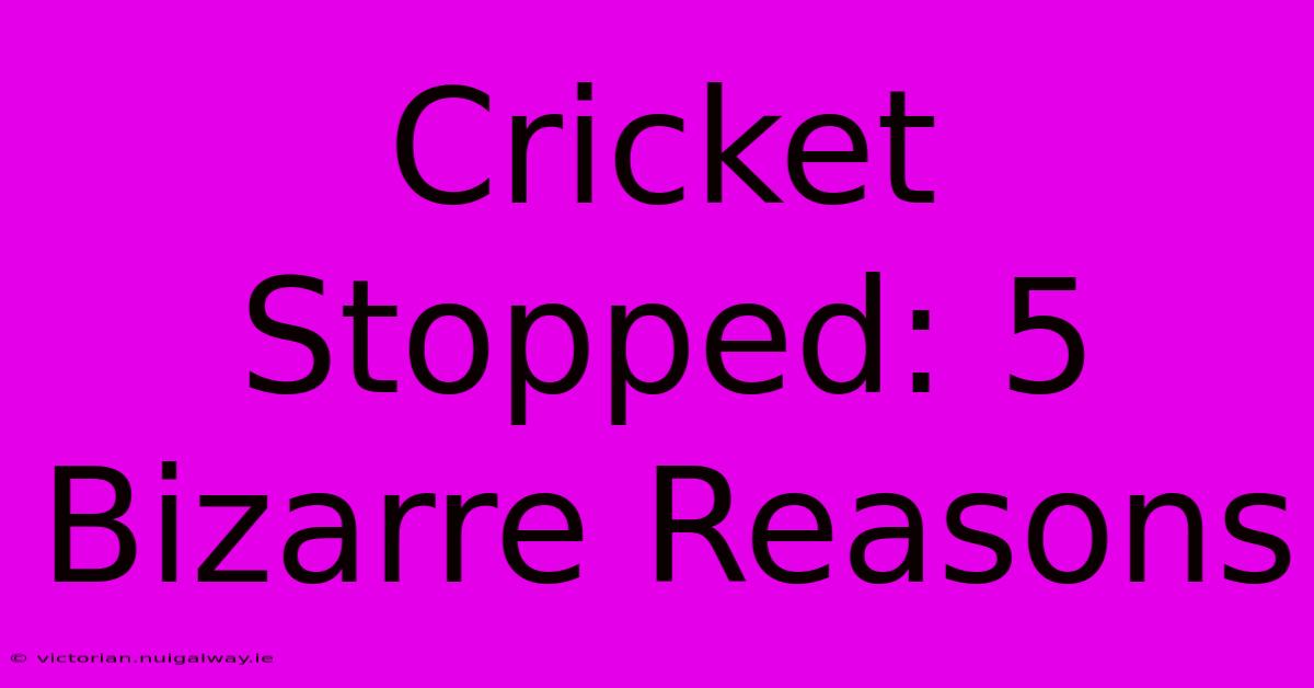 Cricket Stopped: 5 Bizarre Reasons