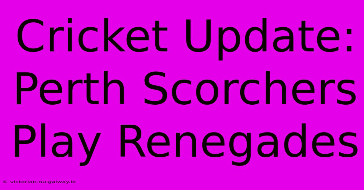 Cricket Update: Perth Scorchers Play Renegades