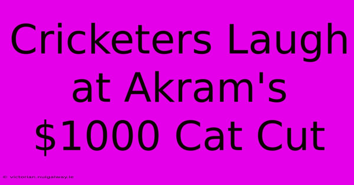 Cricketers Laugh At Akram's $1000 Cat Cut