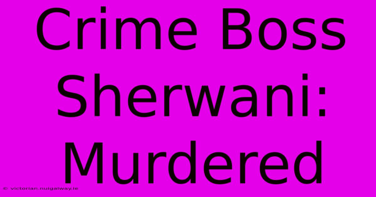 Crime Boss Sherwani: Murdered