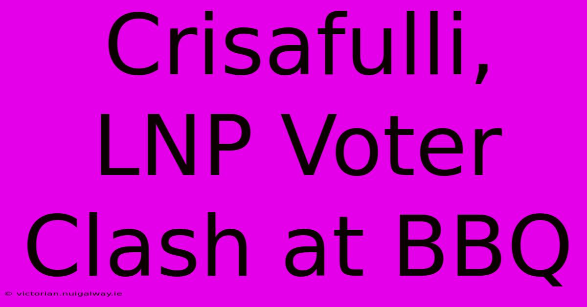 Crisafulli, LNP Voter Clash At BBQ