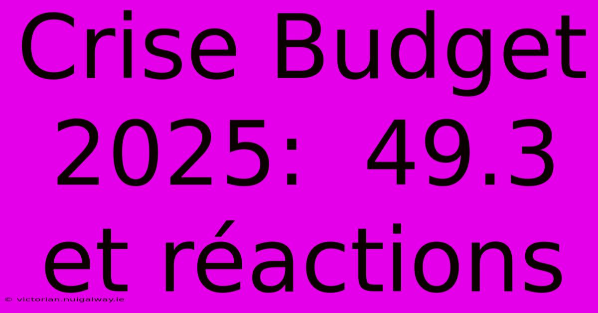 Crise Budget 2025:  49.3 Et Réactions