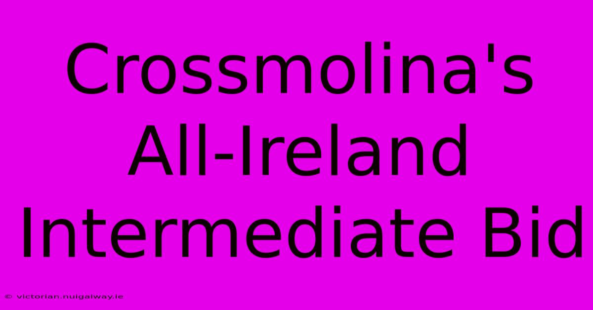 Crossmolina's All-Ireland Intermediate Bid