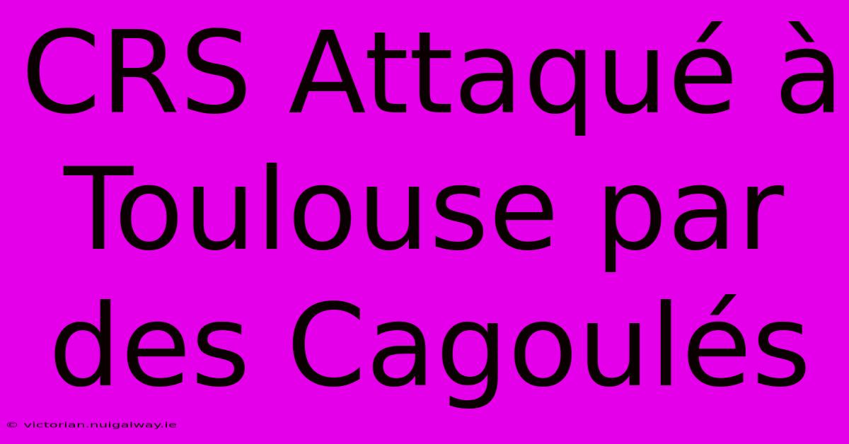 CRS Attaqué À Toulouse Par Des Cagoulés