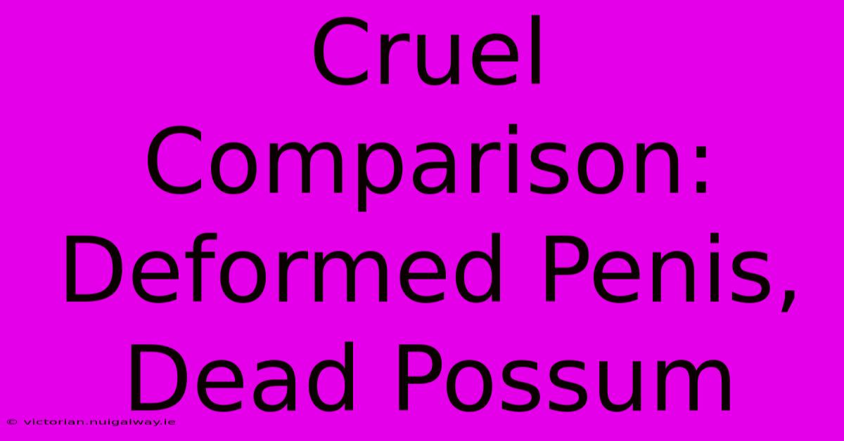 Cruel Comparison: Deformed Penis, Dead Possum