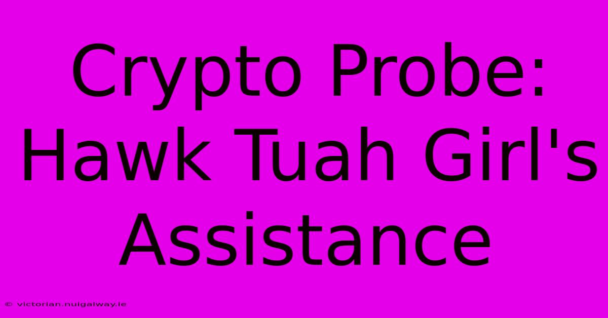 Crypto Probe: Hawk Tuah Girl's Assistance