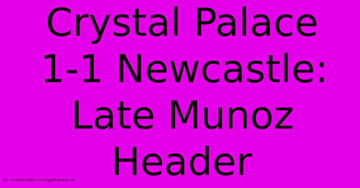 Crystal Palace 1-1 Newcastle: Late Munoz Header