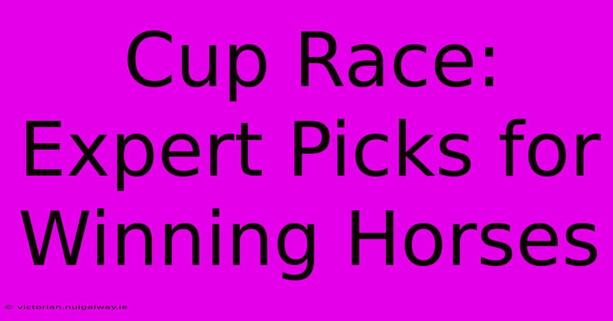 Cup Race: Expert Picks For Winning Horses