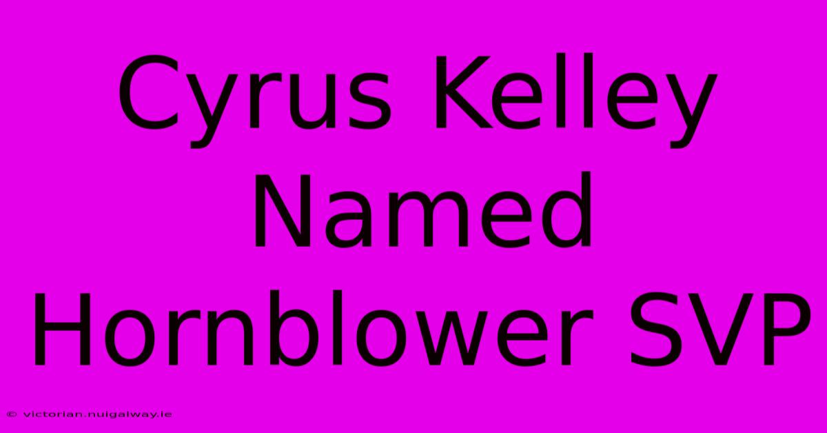 Cyrus Kelley Named Hornblower SVP