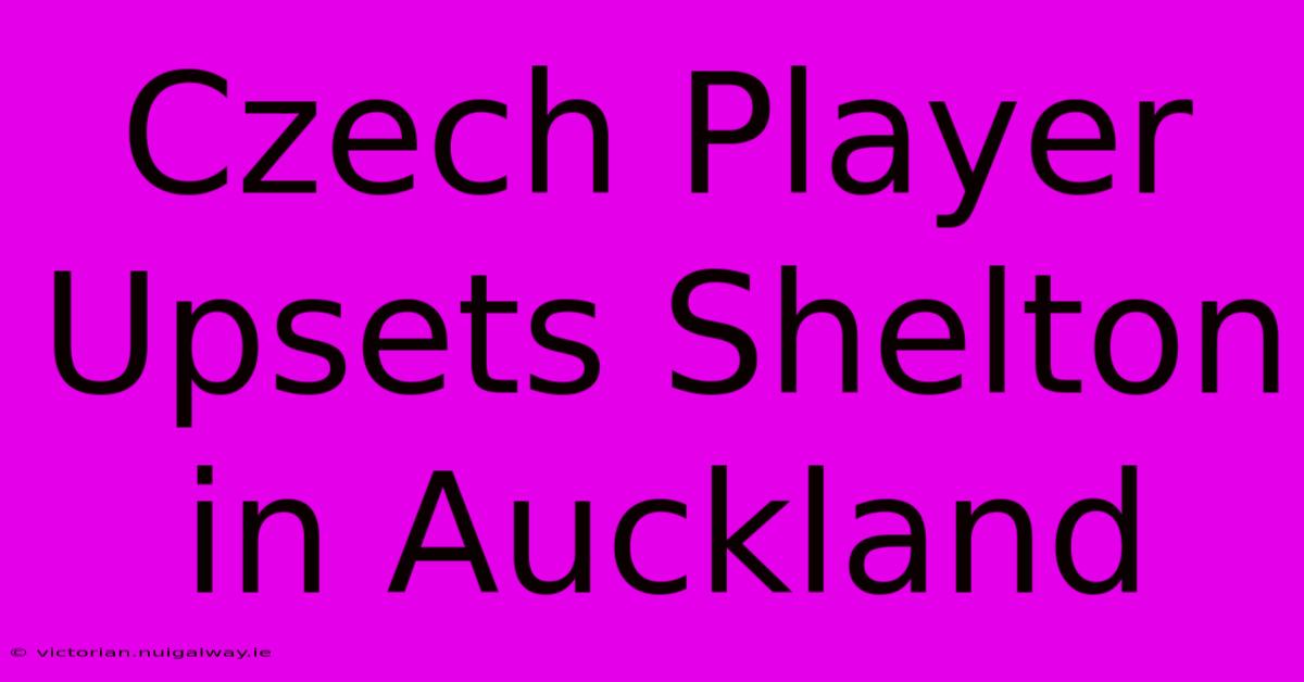 Czech Player Upsets Shelton In Auckland