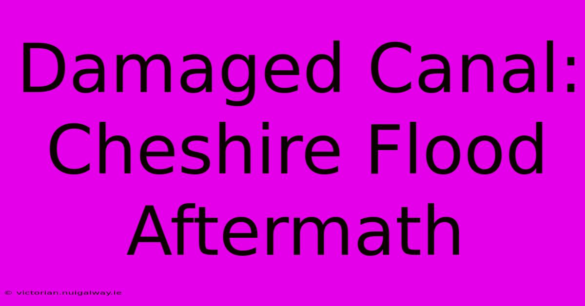 Damaged Canal: Cheshire Flood Aftermath