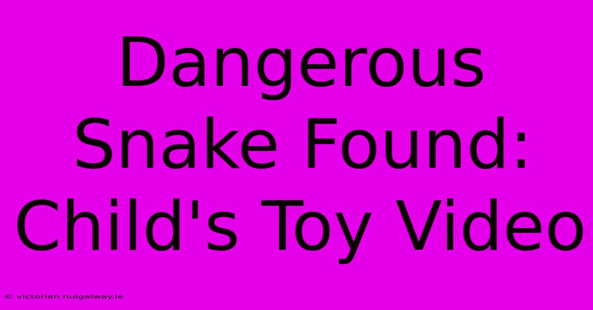 Dangerous Snake Found: Child's Toy Video