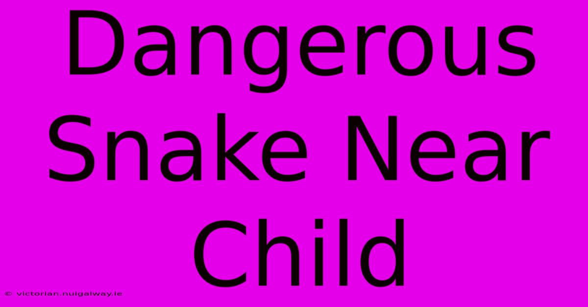 Dangerous Snake Near Child