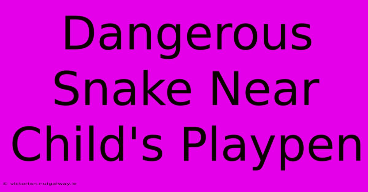 Dangerous Snake Near Child's Playpen