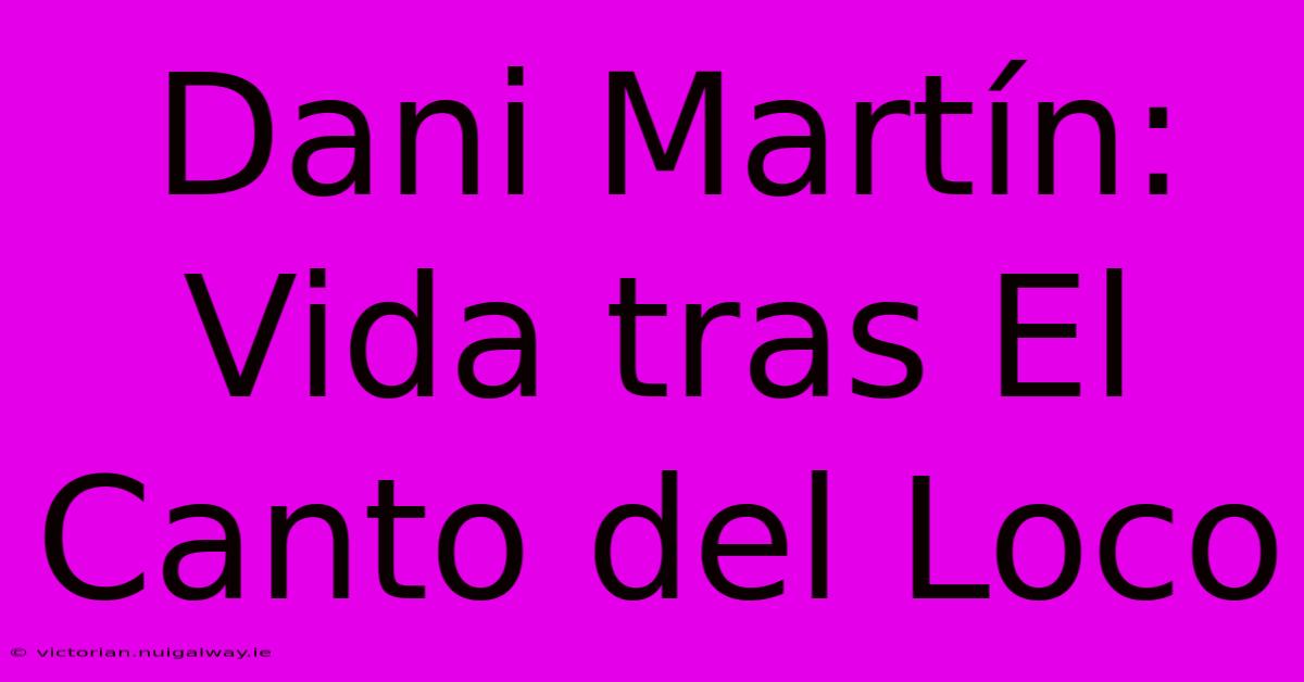 Dani Martín: Vida Tras El Canto Del Loco