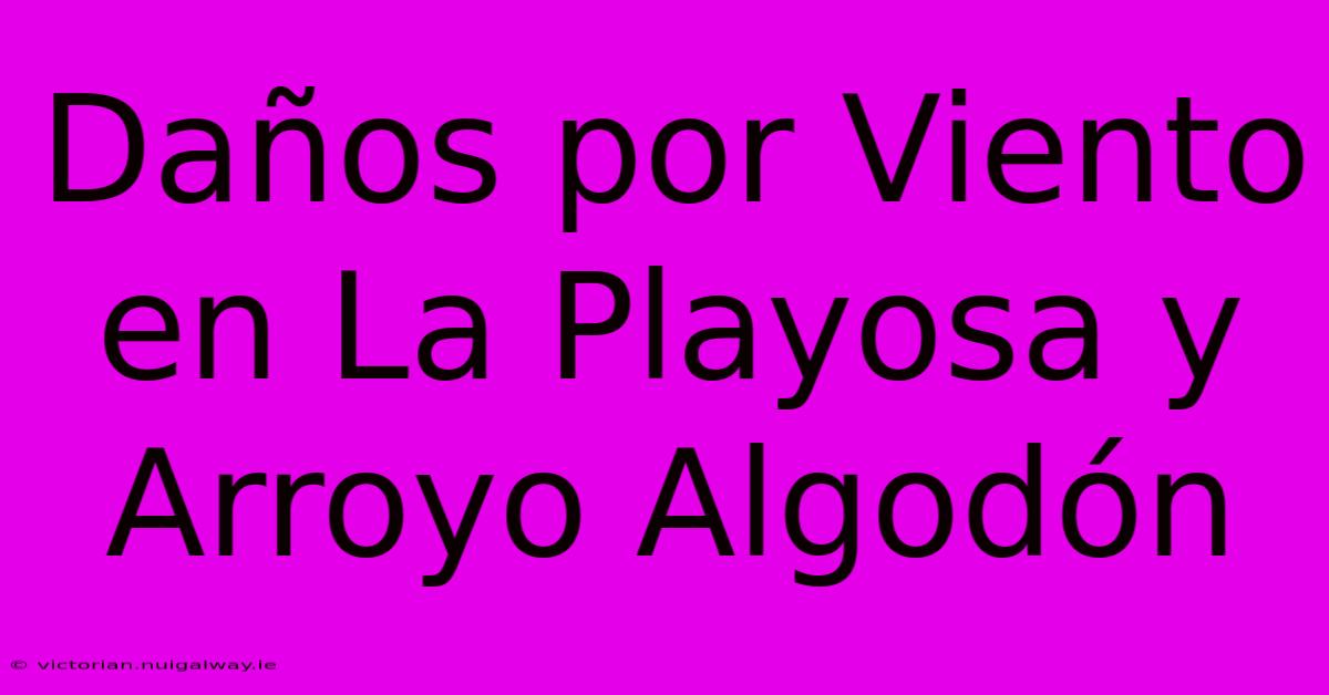 Daños Por Viento En La Playosa Y Arroyo Algodón