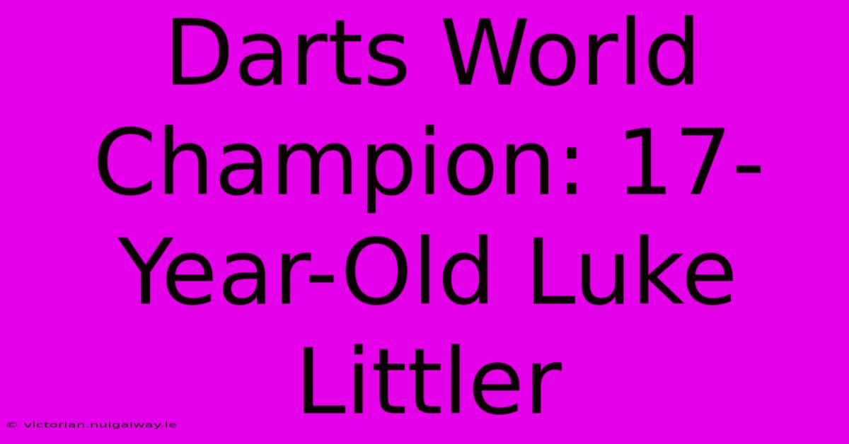 Darts World Champion: 17-Year-Old Luke Littler