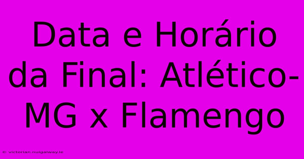 Data E Horário Da Final: Atlético-MG X Flamengo