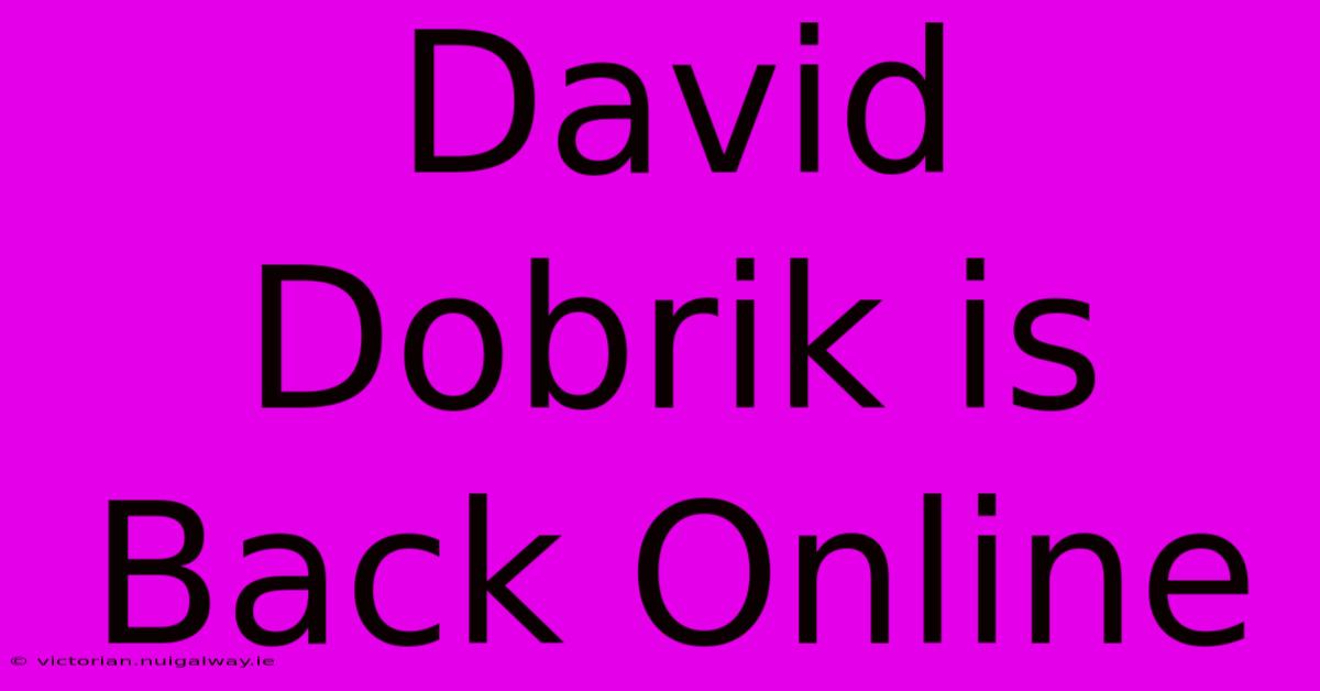 David Dobrik Is Back Online