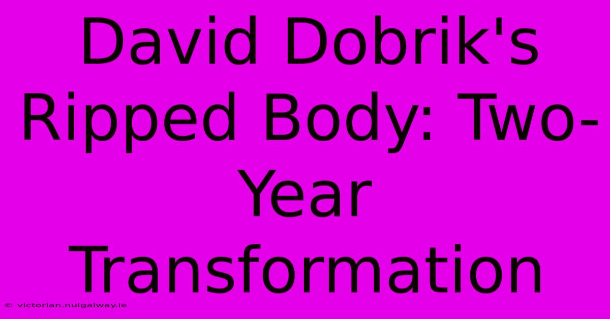 David Dobrik's Ripped Body: Two-Year Transformation