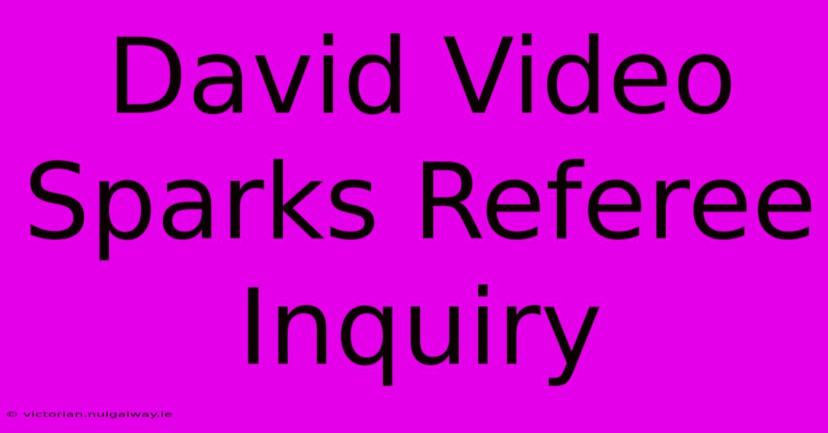 David Video Sparks Referee Inquiry