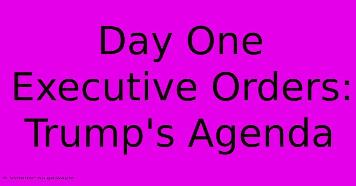 Day One Executive Orders: Trump's Agenda