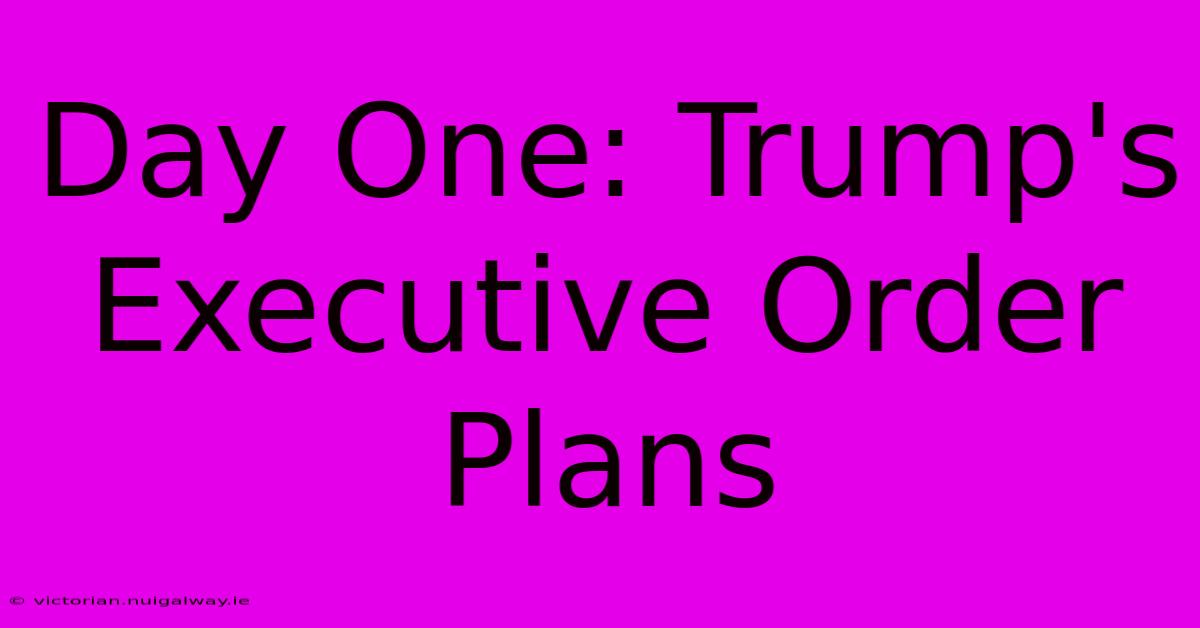 Day One: Trump's Executive Order Plans