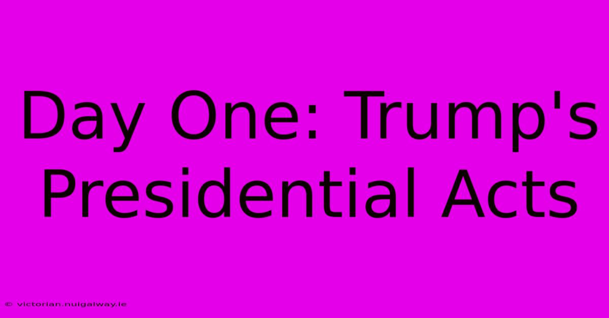 Day One: Trump's Presidential Acts