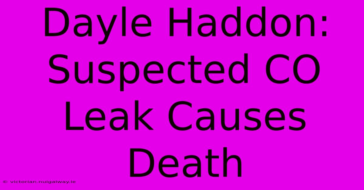 Dayle Haddon: Suspected CO Leak Causes Death