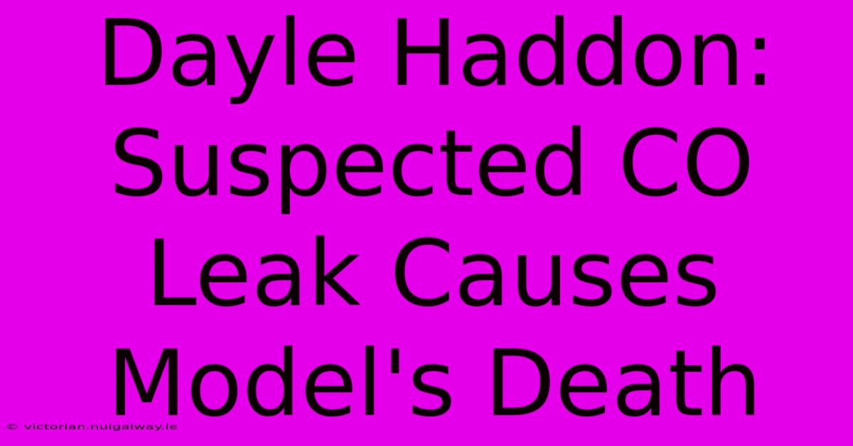 Dayle Haddon: Suspected CO Leak Causes Model's Death