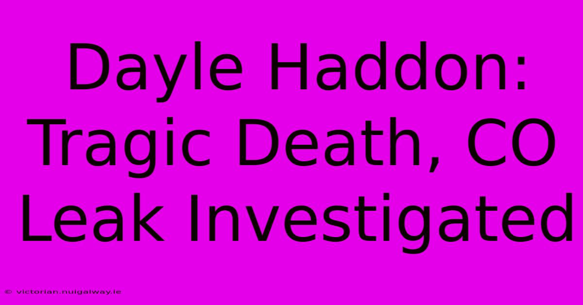 Dayle Haddon: Tragic Death, CO Leak Investigated