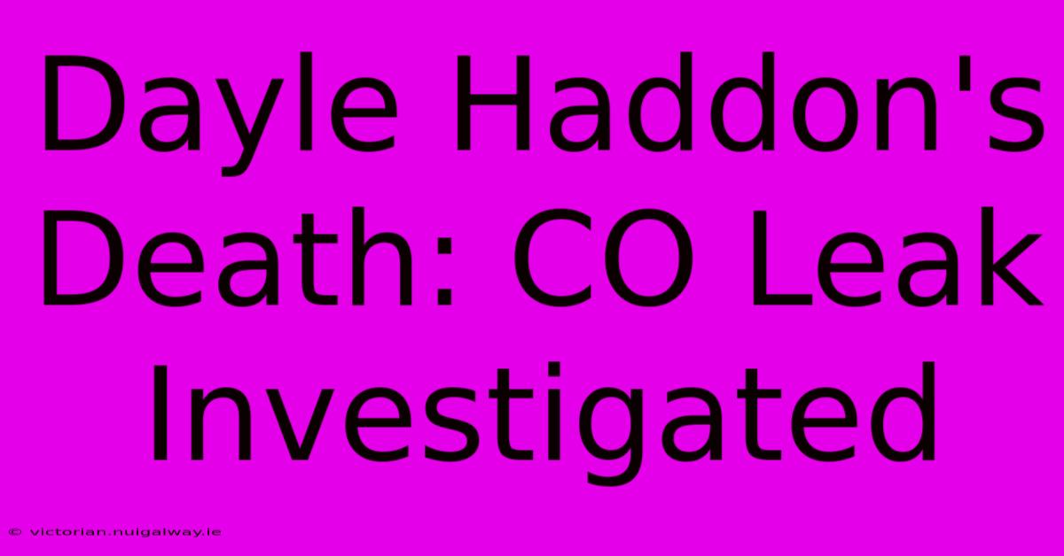 Dayle Haddon's Death: CO Leak Investigated