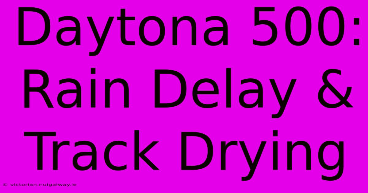 Daytona 500: Rain Delay & Track Drying