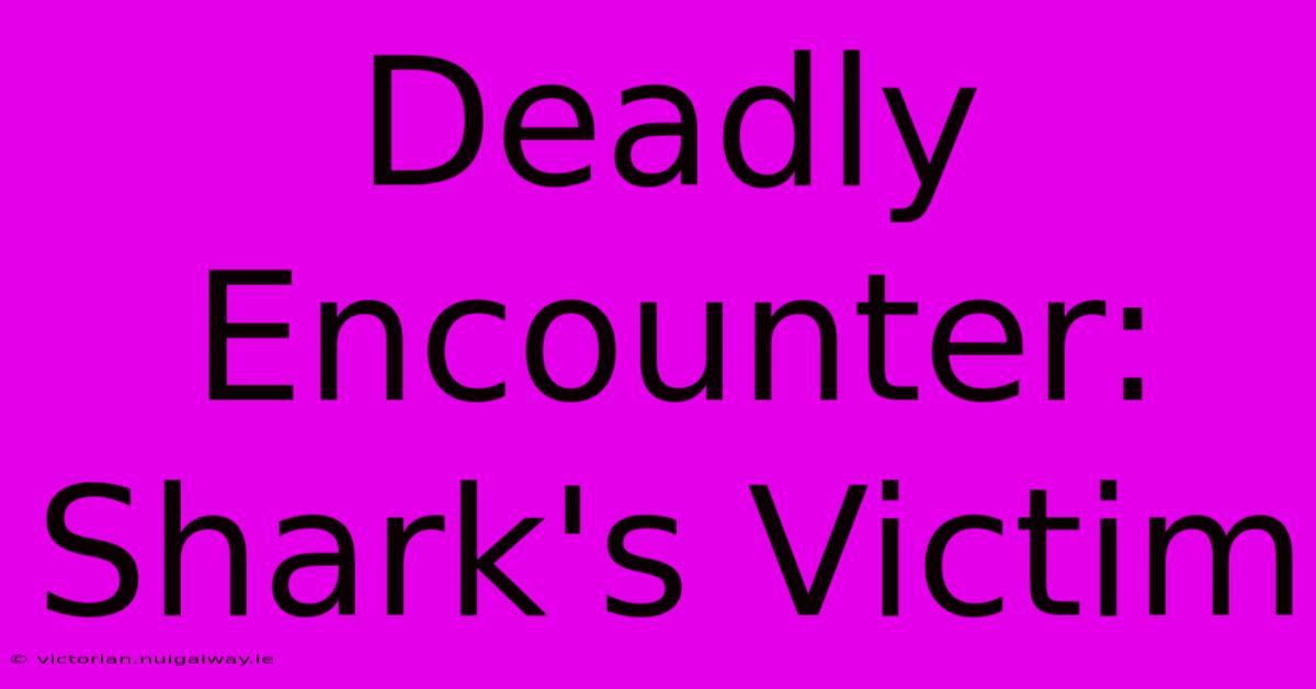 Deadly Encounter: Shark's Victim